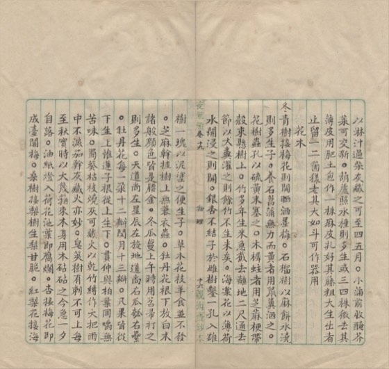 花木 底本(善3142)第 635 叶