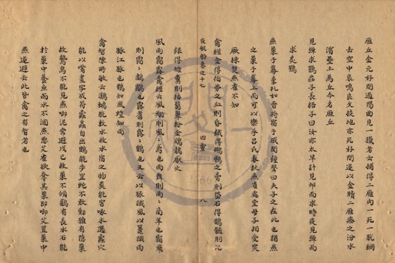 飛禽 底本(朱1076)第 578 叶
