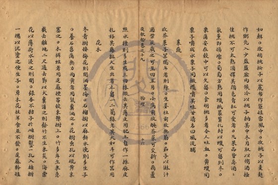 菜蔬 底本(朱1076)第 652 叶